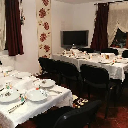 Ocna Mesaros 2*
