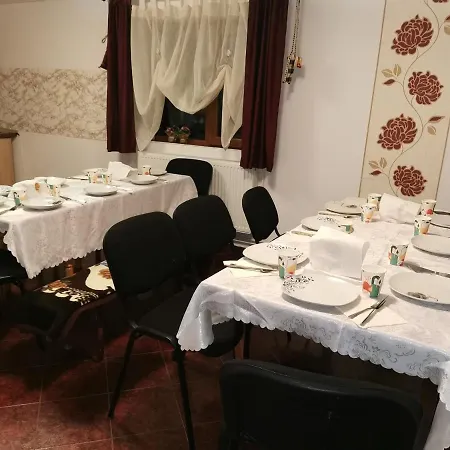 Casa de hóspedes Ocna Mesaros Ocna Şugatag