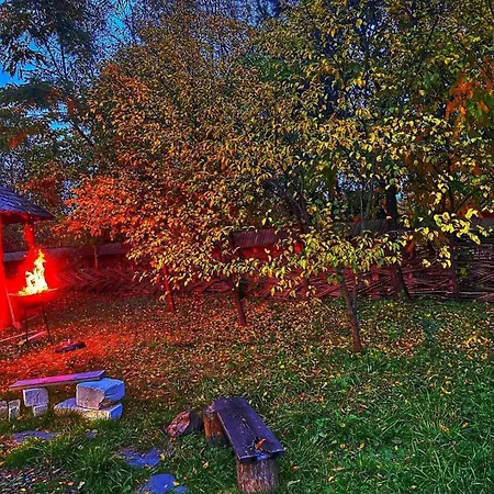 Ocna Mesaros 2* Ocna Şugatag