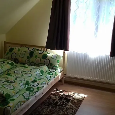 Pensión Ocna Mesaros 2*
