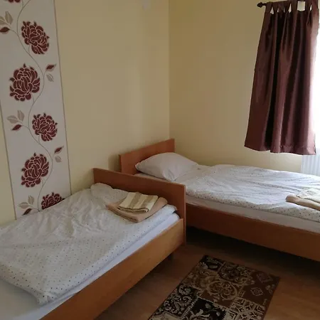 Ocna Mesaros Casa de hóspedes Ocna Şugatag