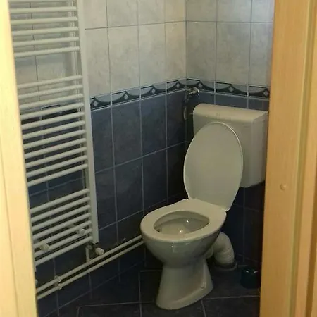 Ocna Mesaros Casa de hóspedes 2*